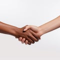 Handshake men and women. men and women shaking hands on white background