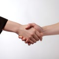 Handshake men and women. men and women shaking hands on white background