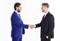 Handshake sign of successful deal. Business meeting. Business deal leaders company. Capital merger. Glad to meet you