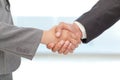 Handshake between two business people