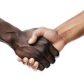 handshake between two people, african american and caucasian man, generative ai