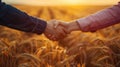 The handshake in wheat field.AI generated image Royalty Free Stock Photo