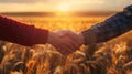 Handshake in Wheat Field.AI generated image Royalty Free Stock Photo