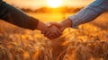 The handshake in wheat field..AI generated image Royalty Free Stock Photo