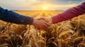 The Handshake in Wheat Field.AI generated image Royalty Free Stock Photo