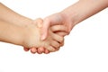 Handshake on white background Royalty Free Stock Photo