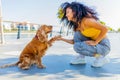 handshake between woman and pretty american cocker puppy outdoors Royalty Free Stock Photo