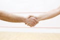 Handshaking before match Royalty Free Stock Photo