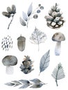 Handsketched elements of northern forest. Hand drawn nordic set. collection of animals, florals, flowers, branches