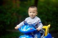 Handsome Baby Boy riding Royalty Free Stock Photo