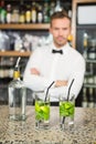 Handsome barman standing behind cocktails Royalty Free Stock Photo