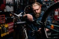 Handsome bearded cycling mechanic male repairing and fixing mountain bicycle standing on bike rack working in bike Royalty Free Stock Photo