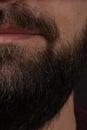 Handsome bearded man close up. Closeup of bearded mans. Male with mustache growing. Perfect beard. Close-up of young Royalty Free Stock Photo