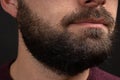 Handsome bearded man close up. Closeup of bearded mans. Male with mustache growing. Perfect beard. Close-up of young Royalty Free Stock Photo