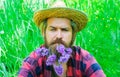 Handsome bearded man with flowers in beard. Man with decorated beard. Royalty Free Stock Photo