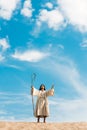 Bearded man holding wooden cane and standingin desert against sky Royalty Free Stock Photo