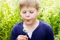 Handsome blond boy blow dandelion Royalty Free Stock Photo