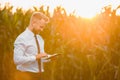 Handsome, blonde, businessman holding a black, new tablet and standing in the middle of green and yellow corn field during sunrise Royalty Free Stock Photo