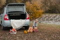 Handsome blonde toddler and pumpkin harvest in orchard. The child eats apples in nature...