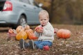 Handsome blonde toddler and pumpkin harvest in orchard. The child eats apples in nature...