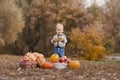 Handsome blonde toddler and pumpkin harvest in orchard. The child eats apples in nature...