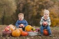 Handsome blonde toddler and pumpkin harvest in orchard. The child eats apples in nature...