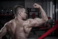 Handsome bodybuilder posing in gym. Perfect muscular male body Royalty Free Stock Photo