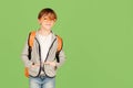 Handsome boy with backpack ready to study. Back to school concept. Cute school kid in glasses over green background Royalty Free Stock Photo