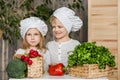 Handsome boy and beautiful young girl playing in the kitchen chefs. Healthy food. Vegetables