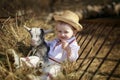 Handsome boy plays with the goatling in hay Royalty Free Stock Photo