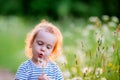 Handsome boy toddler blowing dandelion seeds in the Park