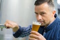 Handsome brewer in uniform tasting beer at brewery Royalty Free Stock Photo