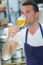 Handsome brewer in uniform tasting beer at brewery