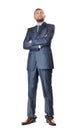 Handsome business man isolated Royalty Free Stock Photo