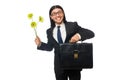 Handsome businessman with flower and brief case Royalty Free Stock Photo