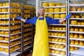 Handsome cheesemaker is checking cheeses in his workshop storage. Royalty Free Stock Photo