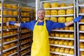 Handsome cheesemaker is checking cheeses in his workshop storage. Royalty Free Stock Photo