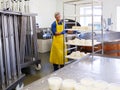 Handsome cheesemaker making curd cheese in his factory.