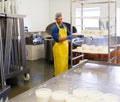 Handsome cheesemaker making curd cheese in his factory.