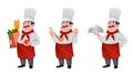 Handsome chef cartoon character. Cheerful cook