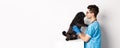 Handsome doctor veterinarian examining cute black pug dog at vet clinic, standing over white background Royalty Free Stock Photo