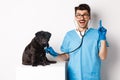 Handsome doctor veterinarian smiling, examining pet in vet clinic, checking pug dog with stethoscope, pointing finger up Royalty Free Stock Photo