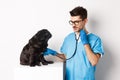 Handsome doctor veterinarian smiling, examining pet in vet clinic, checking pug dog with stethoscope, standing over Royalty Free Stock Photo