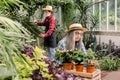 Handsome elderly bearded man gardener watering plants using sprayer, while his charming gray haired smiling wife in