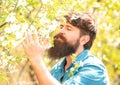 Handsome farmer outdoor. Farmer examining Common fig crop in plantation or field. Gardening hobby. Royalty Free Stock Photo