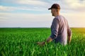 Handsome farmer. Young man walking in green field. Spring agriculture