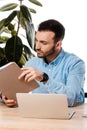 Freelancer looking at folder near laptop near plant isolated on white