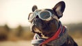 Handsome French Bulldog Wearing Pilot Goggles and Scarf Ready for Action - Generative AI