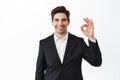 Handsome groom showing okay sign. Businessman in black suit make OK gesture and smiling satisfied, praise good job, well Royalty Free Stock Photo