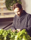 Handsome grower is checking and taking care of plants indoor. Royalty Free Stock Photo